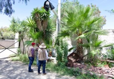 Conagua Atiende más de 100 Denuncias por Presunto uso Ilegal de Agua en Puebla