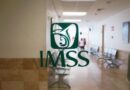 IMSS Estado de México Recomienda Técnica Correcta de Cepillado Dental