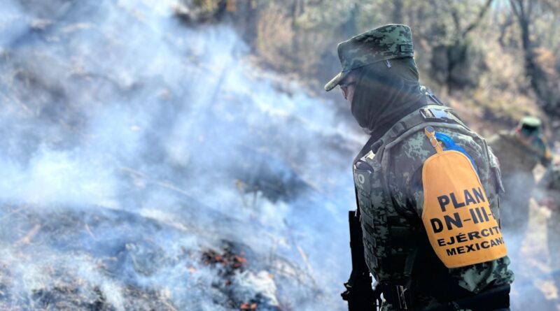 Incendio Forestal en Tlaxco, Controlado en un 85 por Ciento