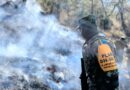 Incendio Forestal en Tlaxco, Controlado en un 85 por Ciento