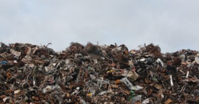 Piden no Adquirir Plásticos de un Solo uso y Utilizar Productos Biodegradables en el Senado