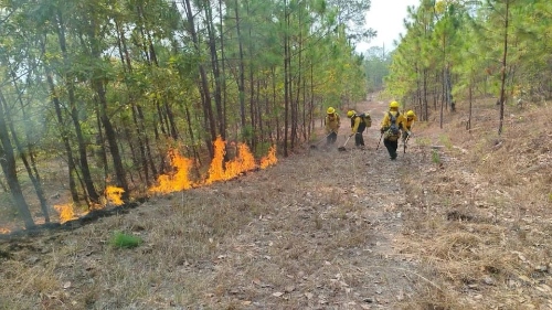 Controlan Incendio Forestal en Chilpancingo