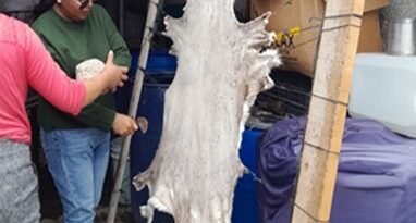 SIA Impulsa Taller para dar Valor Agregado en Subproductos de la Cadena Ovina
