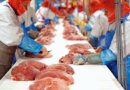 Capacitación, Clave en la Industria Cárnica