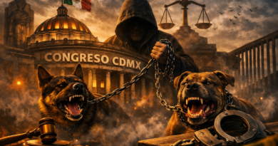 Congreso CDMX Analiza Castigar con 20 Años de Prisión a Quien Asesine Echando a los Perros