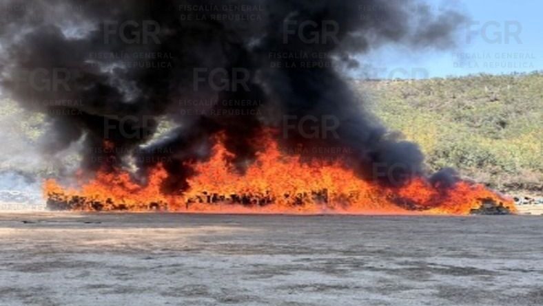 FGR Incinera más de 12 Toneladas de Narcótico