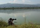 CDMX Lidera el Reto Naturalista Urbano 2026 y se Consolida Como Referente Nacional de Biodiversidad