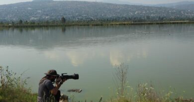 CDMX Lidera el Reto Naturalista Urbano 2026 y se Consolida Como Referente Nacional de Biodiversidad