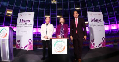 Laura Itzel Castillo Pide al Senado no ser Indiferente Ante el Lupus y la Fibromialgia