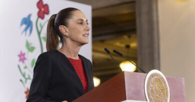 Presidenta Presentará Reforma Para Impedir Candidatos Ligados a la Delincuencia Organizada