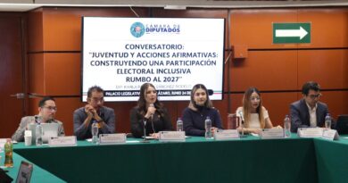 Especialistas, Activistas y Representantes Juveniles Demandan Acciones Afirmativas que Garanticen Participación Política Real e Incluyente