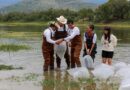 Texcoco Impulsa la Acuicultura con la Siembra de un Millón de Alevines