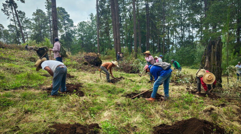 Edomex Concluye Campaña de Protección y Manejo Forestal