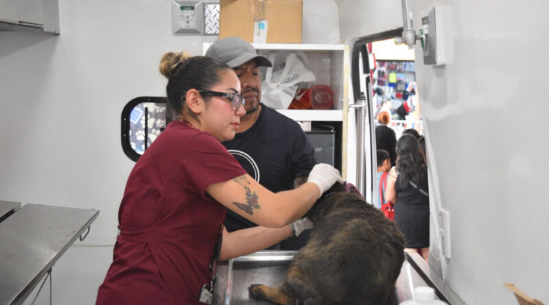 Caravana por el Bienestar Animal Llegará a Atizapán