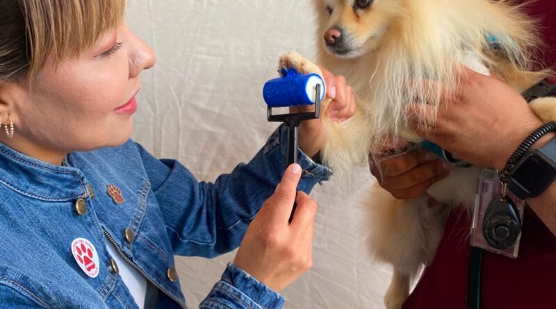 Cepanaf Realiza más de mil 200 Servicios por el Día Mundial del Perro