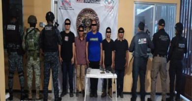 Gabinete de Seguridad Asesta Golpes al Crimen en Ocho Estados