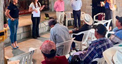 Impulsan Certificación del Mezcal en Morelos