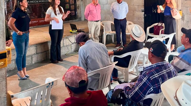 Impulsan Certificación del Mezcal en Morelos