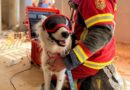 Cruz Roja Mexicana Participa en el Rescate con Vida de Hernán Tras más de 180 Horas Bajo los Escombros