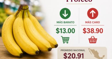 Plátano Tabasco Cuesta Desde 13 Pesos, Reporta Profeco