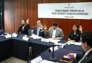 Tercera Comisión Impulsa Aprovechamiento Energético y Ambiental del Nopal