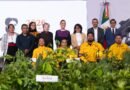Sheinbaum Anuncia Jornada Nacional de Reforestación con Siembra de 6.6 Millones de Árboles