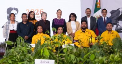 Sheinbaum Anuncia Jornada Nacional de Reforestación con Siembra de 6.6 Millones de Árboles