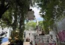 Realiza Cuauhtémoc 136 Podas Preventivas Durante la Última Semana
