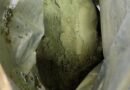 Aseguran Ocho Kilos de Sustancia Derivada de Hoja de Coca en el AICM
