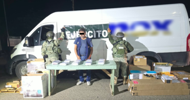 Golpean al Crimen Organizado con Detenciones y Aseguramientos en 12 Entidades