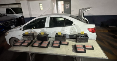 Gabinete de Seguridad Reporta Detenciones y Aseguramientos en Siete Estados