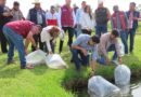 Texcoco Impulsa su Economia Rural con la Siembra de más 1.2 Millones de Alavines