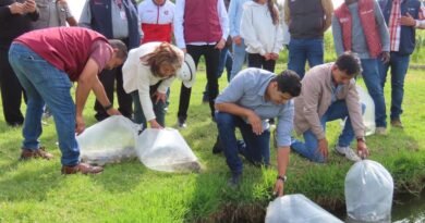 Texcoco Impulsa su Economia Rural con la Siembra de más 1.2 Millones de Alavines