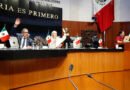 Senado Guarda Minuto de Silencio por Muerte de Cinco Recién Nacidos en Durango