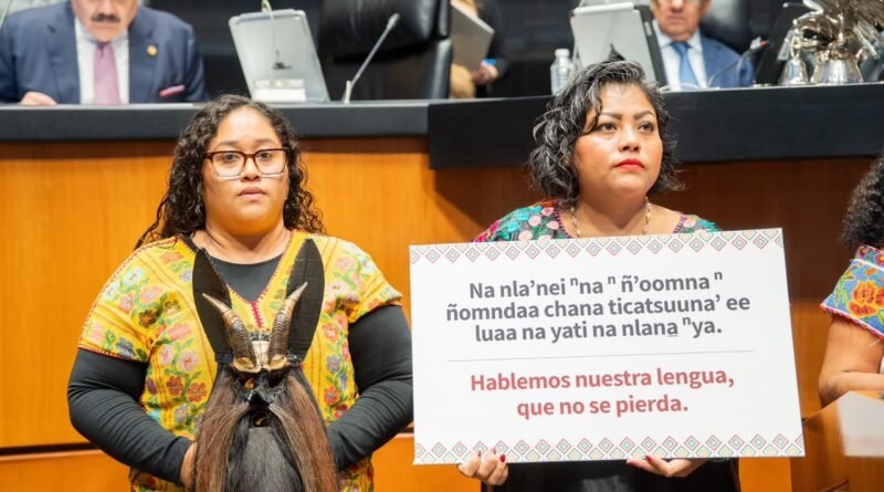 Mujer Afromexicana Alza la Voz por la Igualdad y Contra la Discriminación