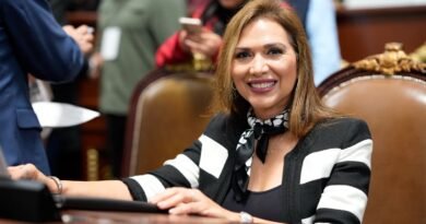 Proponen Informar Adeudos Alimentarios Antes de Contraer Matrimonio en CDMX