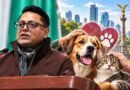 Plantean Fortalecer Cultura de Bienestar Animal para Combatir el Abandono en CDMX