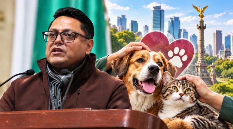 Plantean Fortalecer Cultura de Bienestar Animal para Combatir el Abandono en CDMX