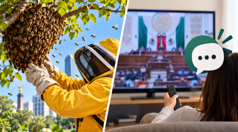 Proponen Coordinación Para Rescatar Enjambres de Abejas en CDMX