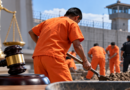 Proponen Trabajo Obligatorio Para Personas Privadas de la Libertad