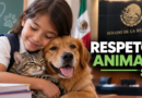 Senado Aprueba Reforma Para Fomentar el Respeto y Protección de los Animales